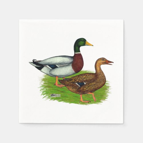 Mallard Drake and Duck Napkins