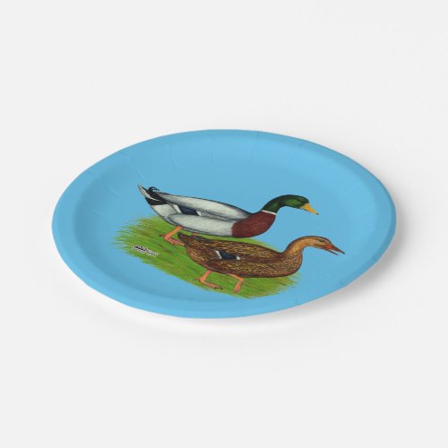 Mallard Drake and Duck Paper Plates