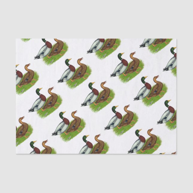 Mallard Drake and Duck Tissue Paper (Front)