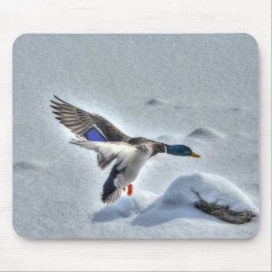 Mallard Drake Birdlover Wildlife Photo Mouse Pad
