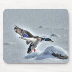 Mallard Drake Birdlover Wildlife Photo Mouse Pad