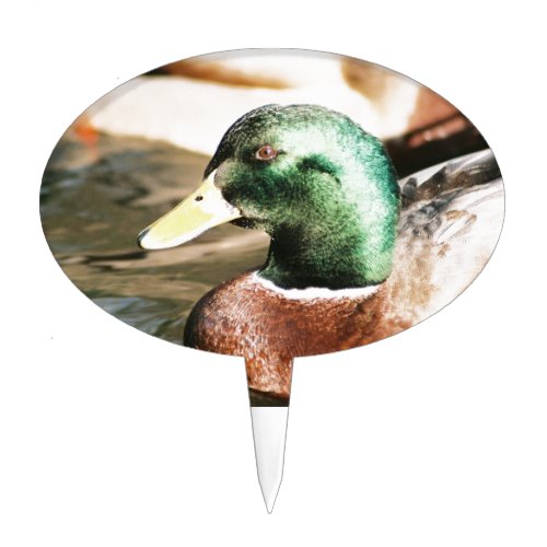 Mallard Drake Cake Topper