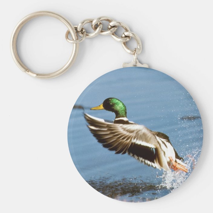 Mallard Drake Duck Keychain