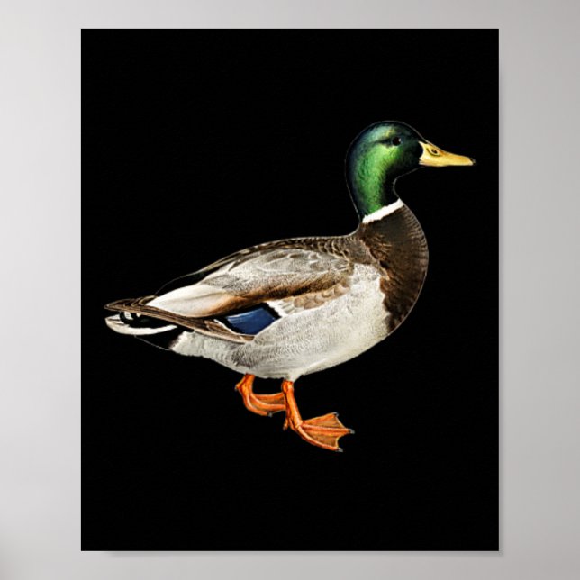 Mallard Drake Duck Pocket Logo Mallard Ducks Hunti Poster (Front)