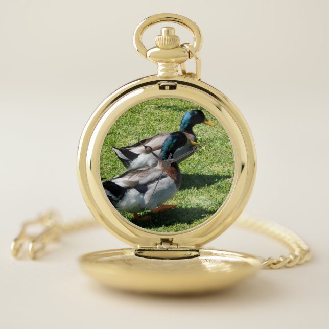 Mallard Drake Ducks Pocket Watch (Inside)
