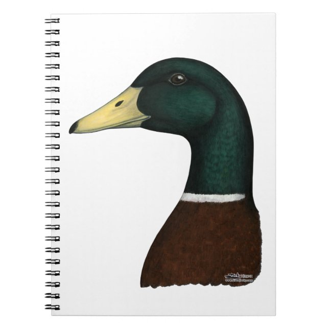 Mallard Drake Head Notebook (Front)