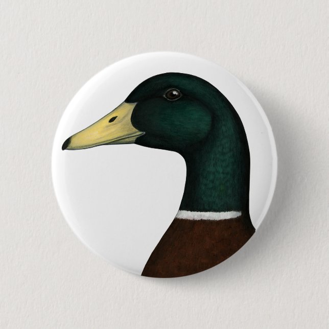 Mallard Drake Head Pinback Button (Front)