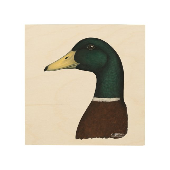 Mallard Drake Head Wood Wall Art (Front)