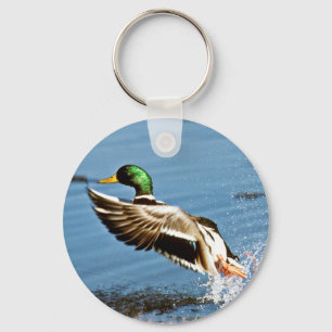 Mallard drake keychain