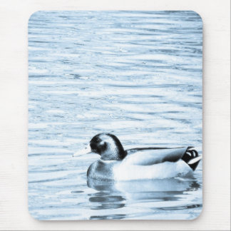 Mallard Drake Mouse Pad