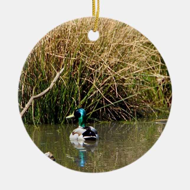 Mallard Drake Ornament (Front)