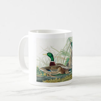 Mallard Duck, 1834, From the Birds of America Coffee Mug