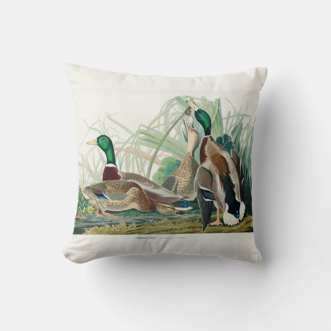 Mallard Duck, 1834, From the Birds of America Throw Pillow (Front)