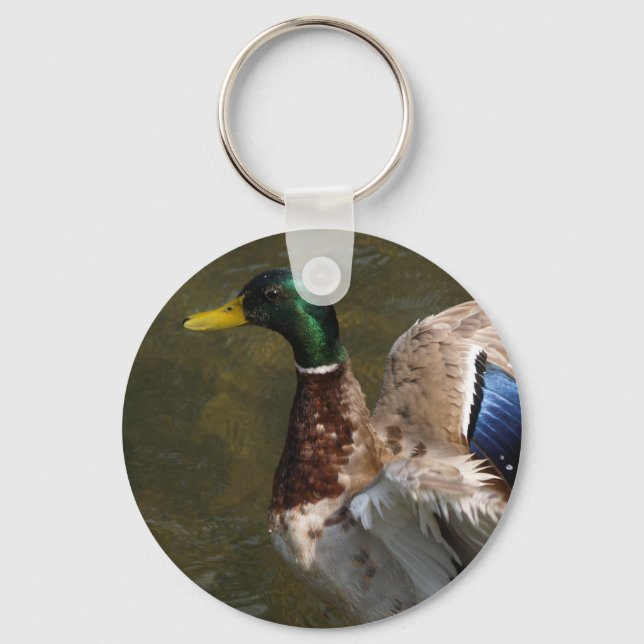 mallard duck about to fly keychain (Front)