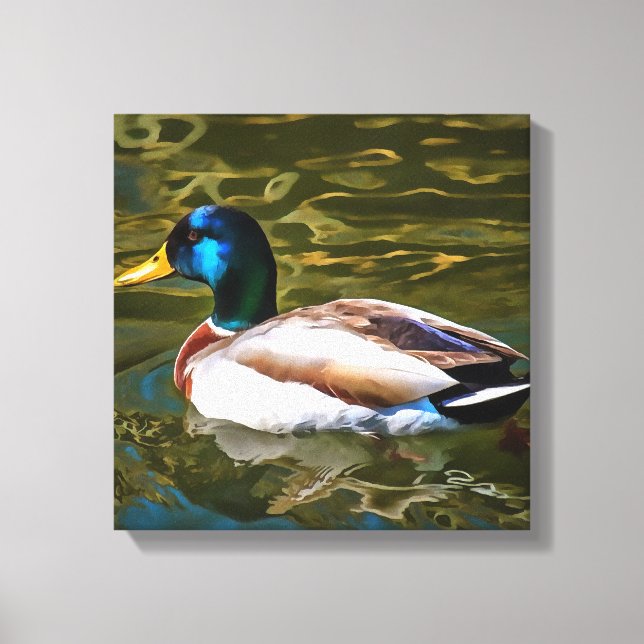 Mallard Duck Artistic Portrait Canvas Print (Front)