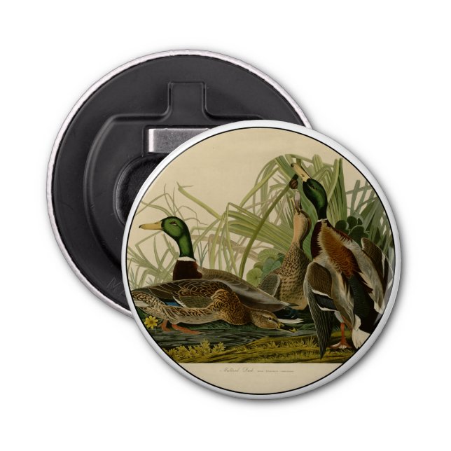 Mallard Duck Audubon Bird Painting Bottle Opener (Front)