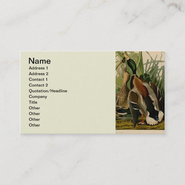 Mallard Duck Audubon Bird Painting Business Card (Front)