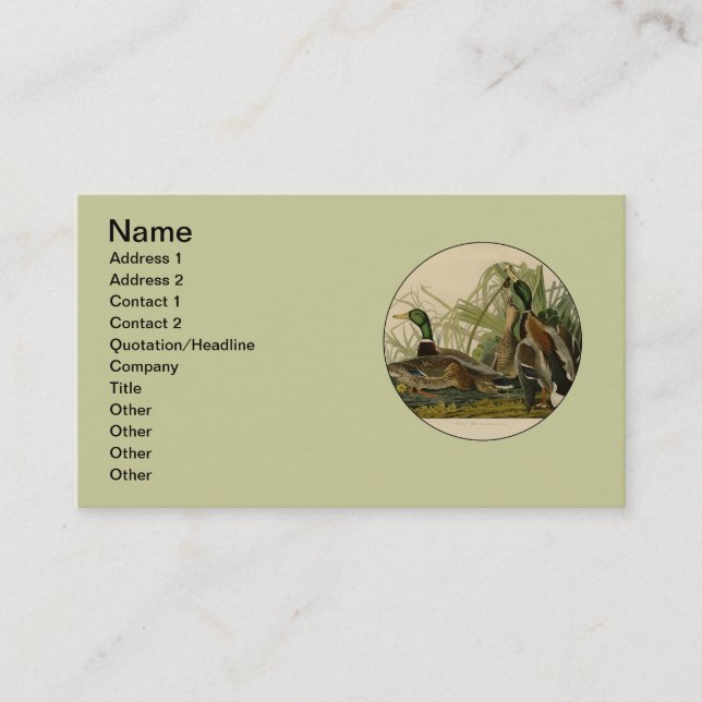 Mallard Duck Audubon Bird Painting Business Card (Front)