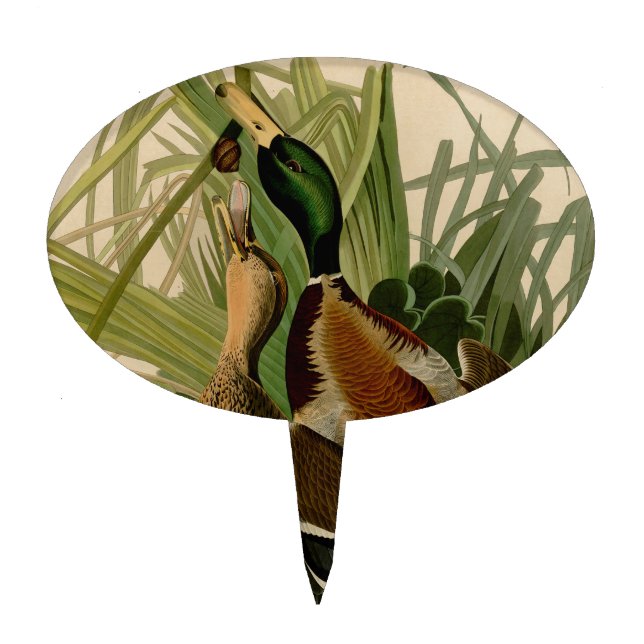 Mallard Duck Audubon Bird Painting Cake Topper (Front)