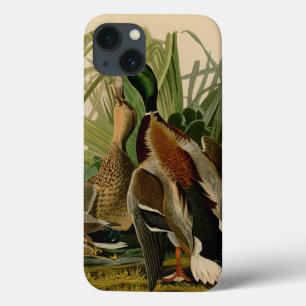 Mallard Duck Audubon Bird Painting iPhone 13 Case