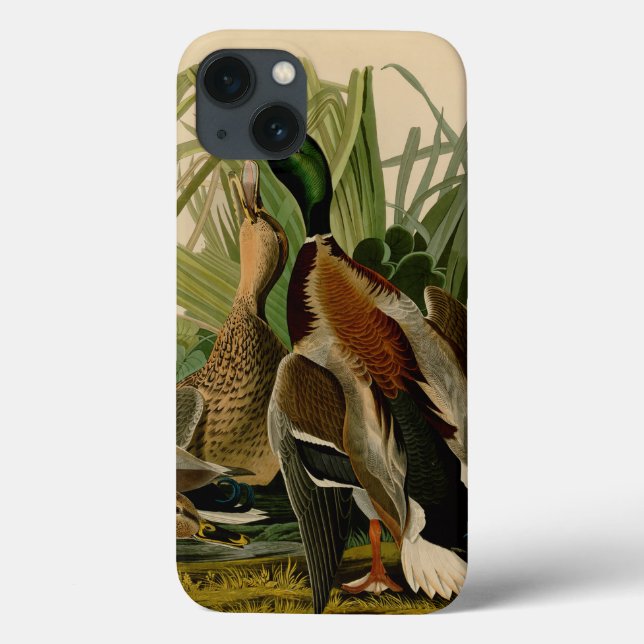 Mallard Duck Audubon Bird Painting Case-Mate iPhone Case (Back)