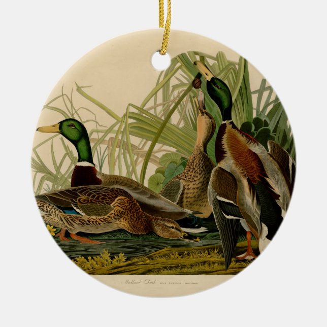 Mallard Duck Audubon Bird Painting Ceramic Ornament (Front)