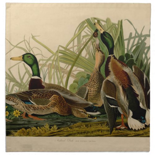 Mallard Duck Audubon Bird Painting Cloth Napkin