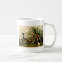 Mallard Duck Audubon Bird Painting