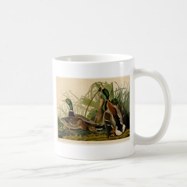 Mallard Duck Audubon Bird Painting Coffee Mug (Right)