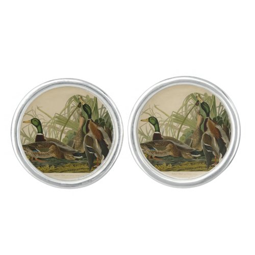 Mallard Duck Audubon Bird Painting Cufflinks