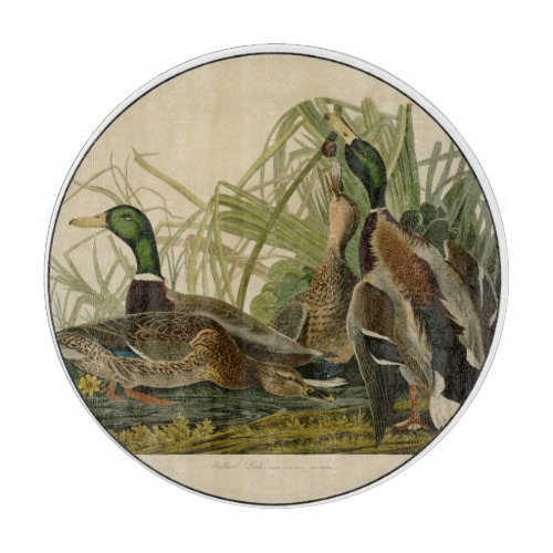 Mallard Duck Audubon Bird Painting Cutting Board