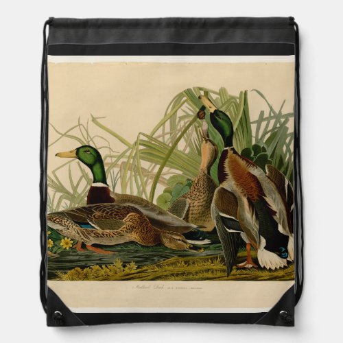 Mallard Duck Audubon Bird Painting Drawstring Bag