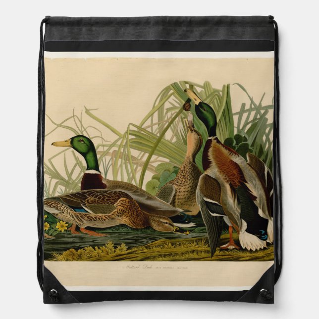 Mallard Duck Audubon Bird Painting Drawstring Bag (Front)