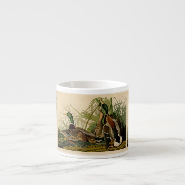 Mallard Duck Audubon Bird Painting Espresso Cup (Front)