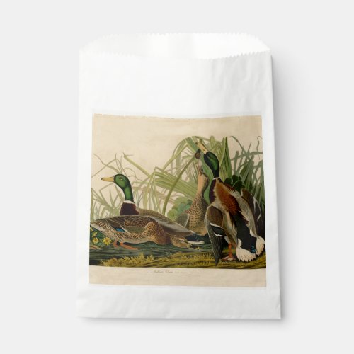 Mallard Duck Audubon Bird Painting Favor Bag