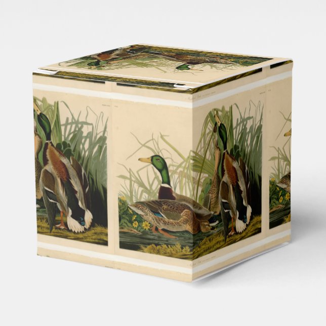 Mallard Duck Audubon Bird Painting Favor Boxes (Front Side)
