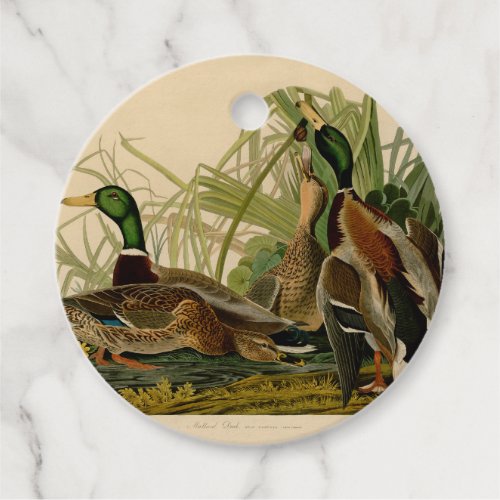 Mallard Duck Audubon Bird Painting Favor Tags