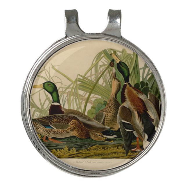 Mallard Duck Audubon Bird Painting Golf Hat Clip (Front)