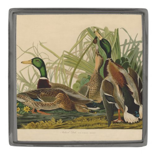 Mallard Duck Audubon Bird Painting Gunmetal Finish Lapel Pin