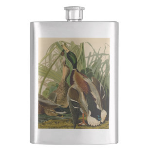 Mallard Duck Audubon Bird Painting Hip Flask