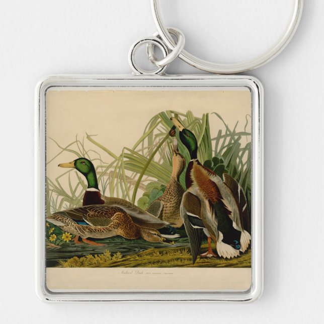 Mallard Duck Audubon Bird Painting Keychain (Front)