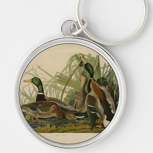 Mallard Duck Audubon Bird Painting Keychain (Front)