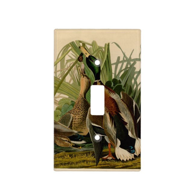 Mallard Duck Audubon Bird Painting Light Switch Cover (Front)