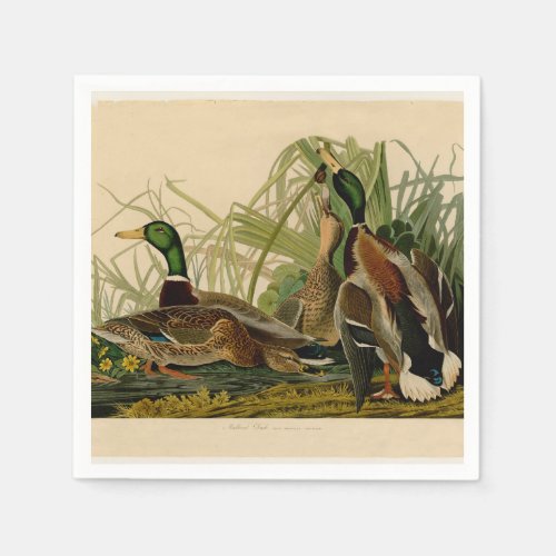 Mallard Duck Audubon Bird Painting Napkins