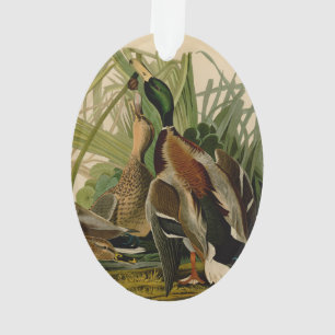 Mallard Duck Audubon Bird Painting Ornament