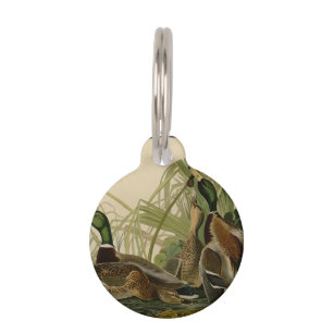 Mallard Duck Audubon Bird Painting Pet Tag
