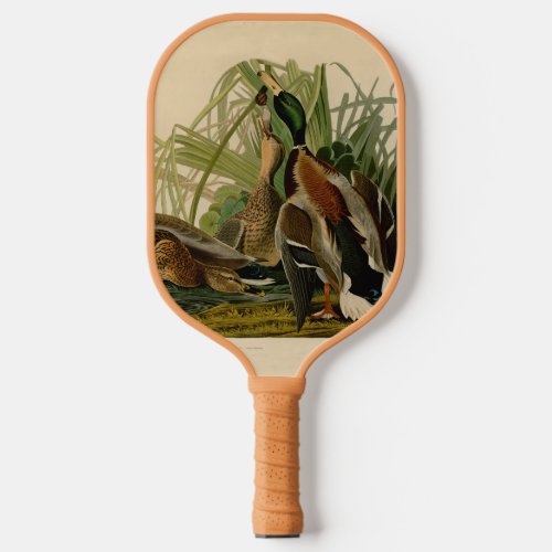 Mallard Duck Audubon Bird Painting Pickleball Paddle