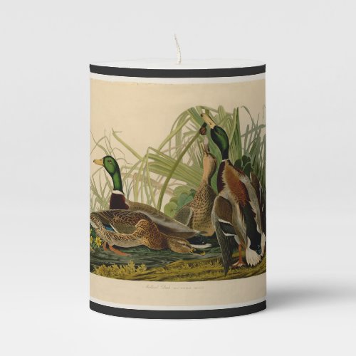 Mallard Duck Audubon Bird Painting Pillar Candle