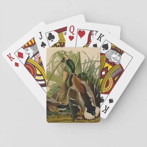 Mallard Duck Audubon Bird Painting Poker Cards