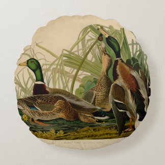 Mallard Duck Audubon Bird Painting Round Pillow